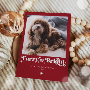 Cartes Pour Fêtes Annuelles Photo de chien drôle et lumineux pour Noël