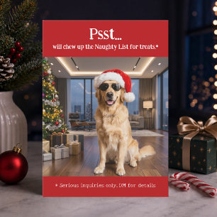 Cartes Pour Fêtes Annuelles Photo de chien drôle et mignon pour Noël