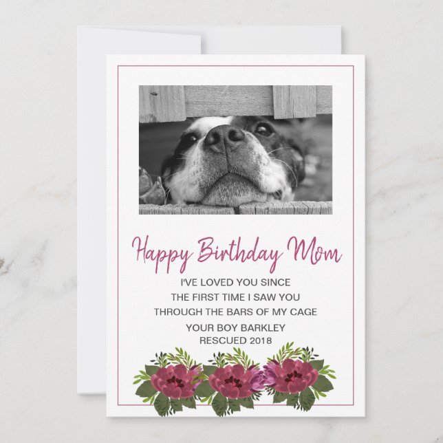 Cartes Pour Fêtes Annuelles Photo de chien Joyeux Anniversaire Maman de Secour (Devant)