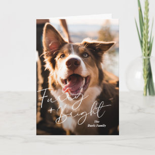 Cartes Pour Fêtes Annuelles Photo de chien mignon Noël moderne