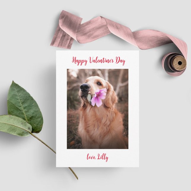 Cartes Pour Fêtes Annuelles Photo de chien pour la Saint-Valentin (Créateur téléchargé)
