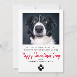 Cartes Pour Fêtes Annuelles Photo de chien Saint-Valentin de la part du chien