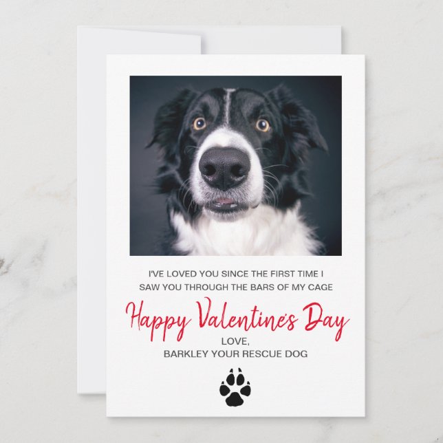 Cartes Pour Fêtes Annuelles Photo de chien Saint-Valentin Du Chien (Devant)