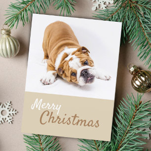 Cartes Pour Fêtes Annuelles Photo de chiot Bouledogue Anglais Noël personnalis