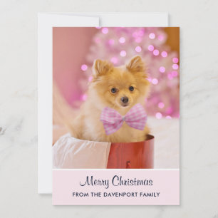 Cartes Pour Fêtes Annuelles Photo de Cute Christmas Dog avec Pink Bow & Tree
