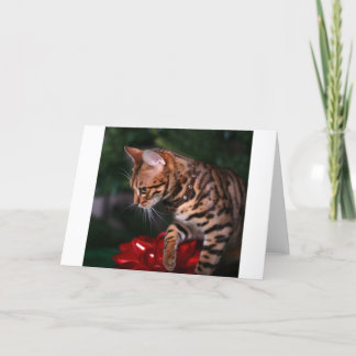 Cartes Pour Fêtes Annuelles Photo de Kitty de Noël (chat domestique du