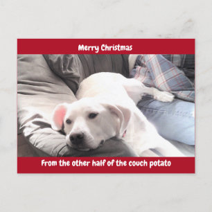 Cartes Pour Fêtes Annuelles Photo de mignon chien blanc avec papa rouge