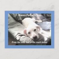 Photo de mignon chien blanc fatigué avec meilleur 