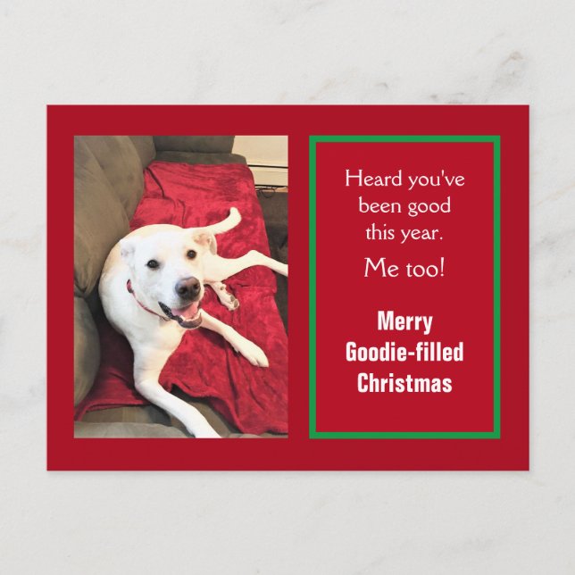Cartes Pour Fêtes Annuelles Photo de mignon souriant chien blanc rouge Noël (Devant)