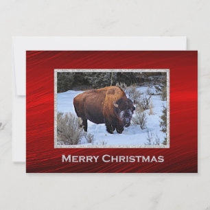 Cartes Pour Fêtes Annuelles Photo de neige de Buffalo Appartement de Noël