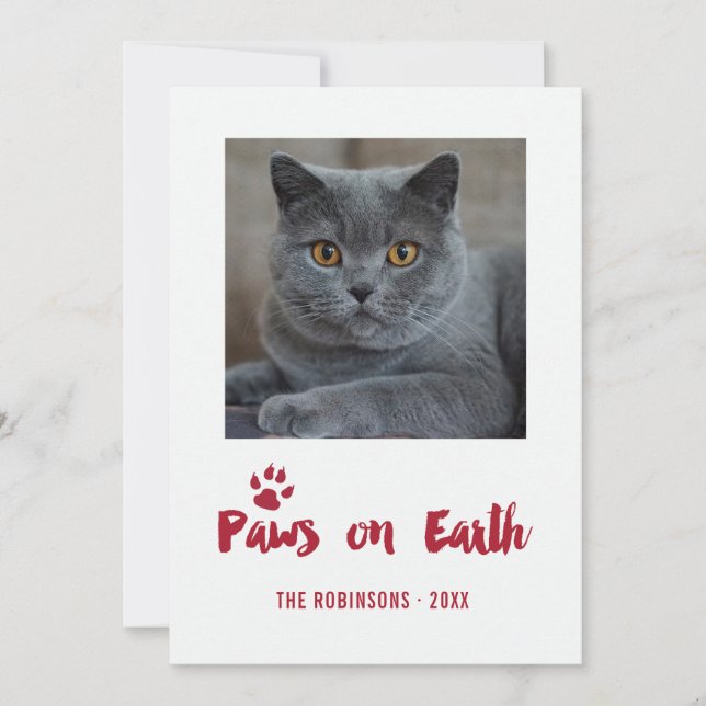 Cartes Pour Fêtes Annuelles Photo de Noël branchée pour animaux de compagnie (Devant)