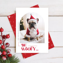 Photo de Noël d'arche pour chien drôle moderne