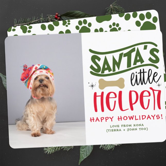 Cartes Pour Fêtes Annuelles Photo de Noël de chien personnalisée (Créateur téléchargé)