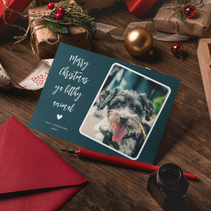 Cartes Pour Fêtes Annuelles Photo de Noël drôle d'animal de compagnie Joyeux N