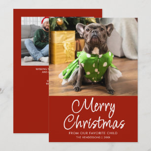 Cartes Pour Fêtes Annuelles Photo de Noël drôle d'animal Famille Joyeux Noël