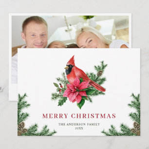 Cartes Pour Fêtes Annuelles PHOTO de Noël du Cardinal Rouge de Poinsettia