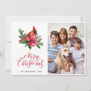 Cartes Pour Fêtes Annuelles PHOTO de Noël du Cardinal Rouge de Poinsettia