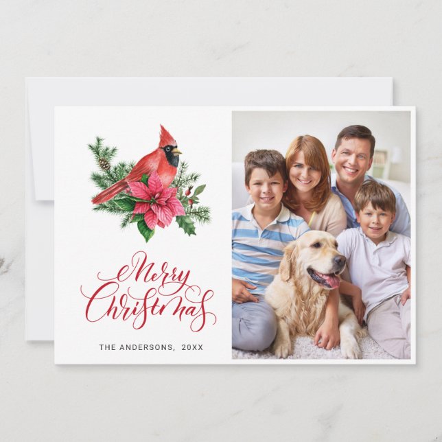 Cartes Pour Fêtes Annuelles PHOTO de Noël du Cardinal Rouge de Poinsettia (Devant)