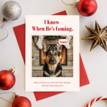 Photo de Noël minimaliste de chien mignon et drôle