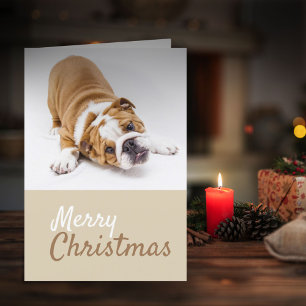 Cartes Pour Fêtes Annuelles Photo de Noël personnalisé avec chiot Bouledogue A