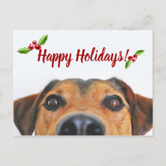 Cartes Pour Fêtes Annuelles Photo de vacances pour animaux