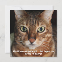 Photo de visage de chat Bengal "Vous auriez eu un 