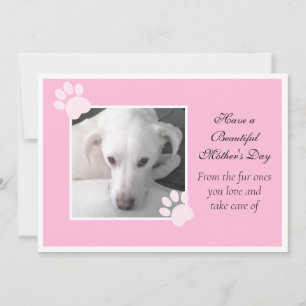 Cartes Pour Fêtes Annuelles Photo du mignon chien rose Fête des Mères Cadre Pa