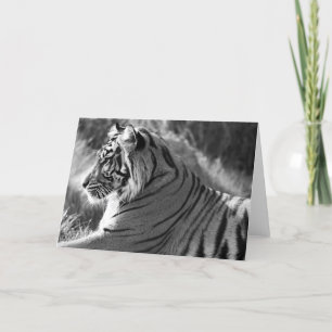 Cartes Pour Fêtes Annuelles Photo du profil du tigre B&W