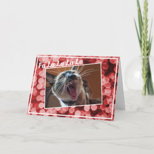 Cartes Pour Fêtes Annuelles Photo d'un chaton siamois drôle chantant une chans