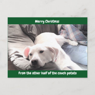 Cartes Pour Fêtes Annuelles Photo d'un chien blanc pâle mignon avec papa vert
