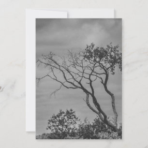 Cartes Pour Fêtes Annuelles photo gothique américaine stylisée réimpression pa