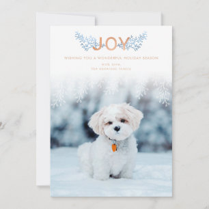 Cartes Pour Fêtes Annuelles Photo Holiday