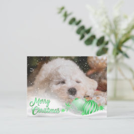 Cartes Pour Fêtes Annuelles Photo Joyeux Noël Neige superposition Budget vert