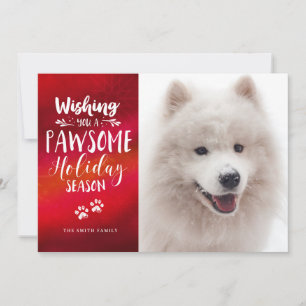 Cartes Pour Fêtes Annuelles Photo personnalisée Pet 2   Pawsome Typographie Ho
