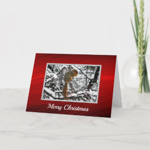 Cartes Pour Fêtes Annuelles Photo sapin des neiges d'écureuil Noël