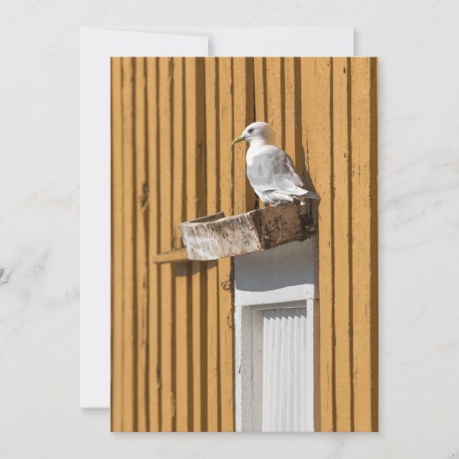 Cartes Pour Fêtes Annuelles Photo Seagull Yellow Norwegian House (Devant)