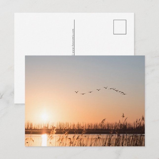 Cartes Pour Fêtes Annuelles Photo Sunrise Nature (Devant / Derrière)