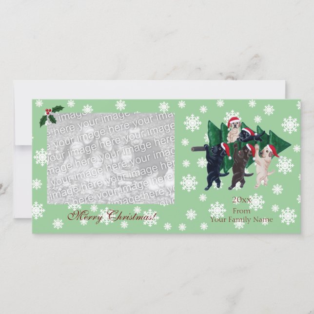 Cartes Pour Fêtes Annuelles Photocartes de Noël du Labrador (Devant)