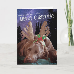 Cartes Pour Fêtes Annuelles Photographie de Labrador chocolat rêveur avec bois
