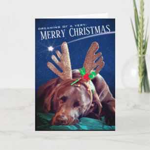 Cartes Pour Fêtes Annuelles Photographie de Labrador chocolat rêveur avec bois
