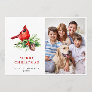 Cartes Pour Fêtes Annuelles Photographie de voeux de Noël du cardinal rouge Ho