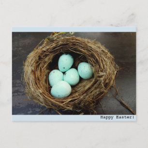 Cartes Pour Fêtes Annuelles Photographie du nid de pâques oiseau tacheté