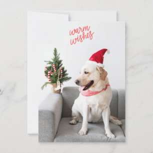 Cartes Pour Fêtes Annuelles Photographier des souhaits chauds avec du texte ar