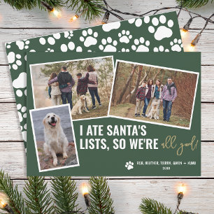 Cartes Pour Fêtes Annuelles Photos drôles de chien Photo de Noël personnalisée