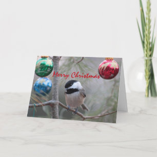 Cartes Pour Fêtes Annuelles Pickadee