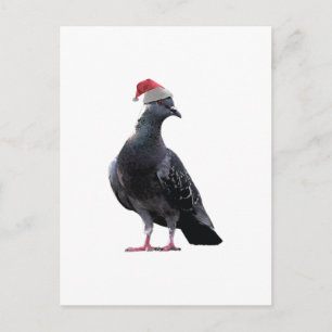 Cartes Pour Fêtes Annuelles Pigeon Santa Hat
