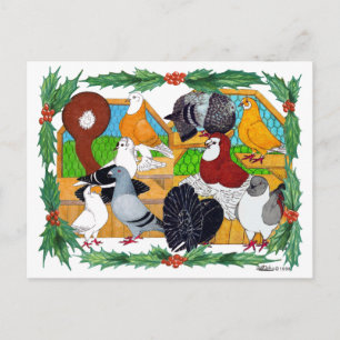 Cartes Pour Fêtes Annuelles Pigeons de Christmas