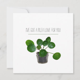 Cartes Pour Fêtes Annuelles Pilea Sweet Plante Pun Valentine