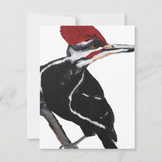 Cartes Pour Fêtes Annuelles Pileated Woodpecker