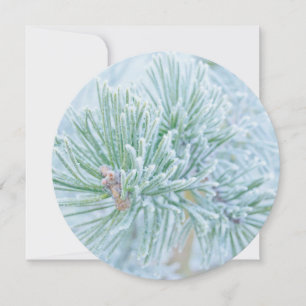 Cartes Pour Fêtes Annuelles Pin congelé